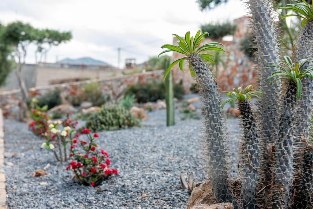 Villa Agro Nostro-Agave With Superb View à Agios Nikolaos Extérieur photo